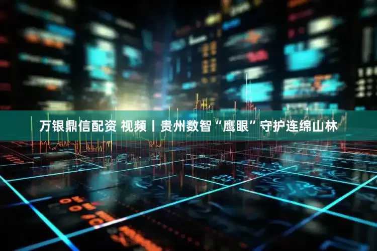 万银鼎信配资 视频丨贵州数智“鹰眼”守护连绵山林